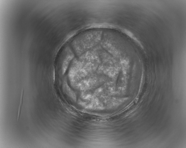 X0000074341221200609230109