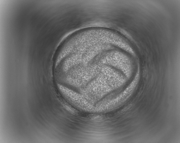 X0000074341222200609230109