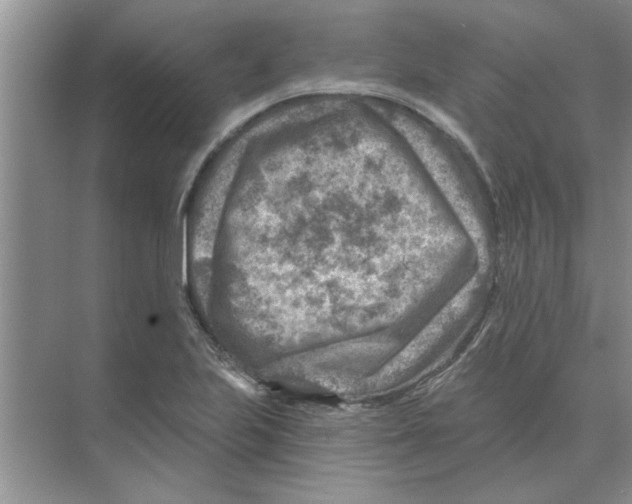 X0000074341223200609230109