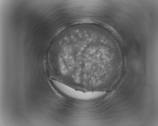 X0000074341225200609230109