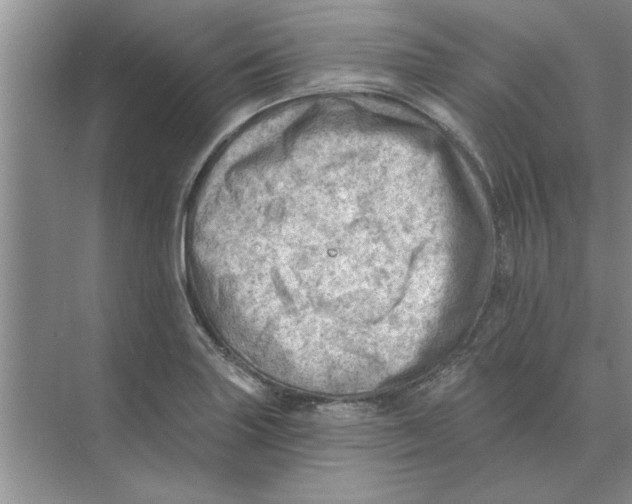 X0000074341227200609230109