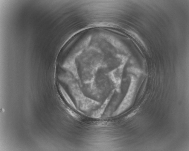 X0000074341228200609230109