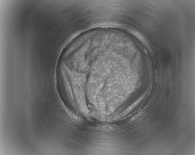 X0000074341229200609230110