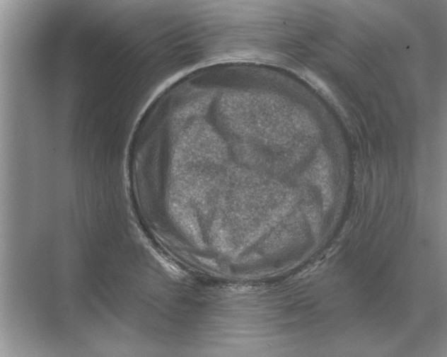 X0000074341230200609230110