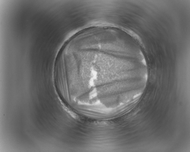 X0000074341231200609230110