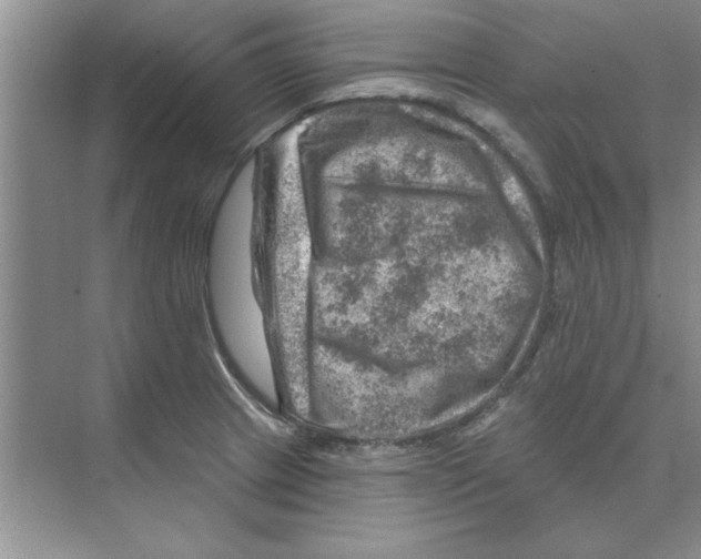 X0000074341233200609230110