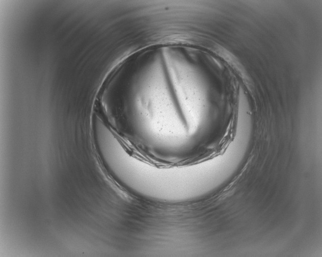 X0000074341234200609230110