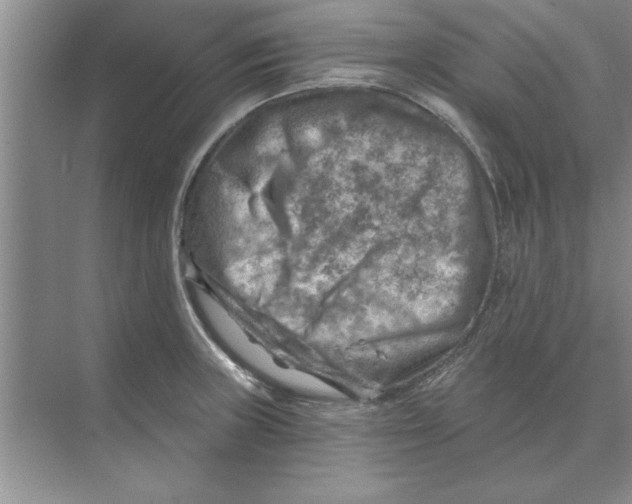 X0000074341235200609230110