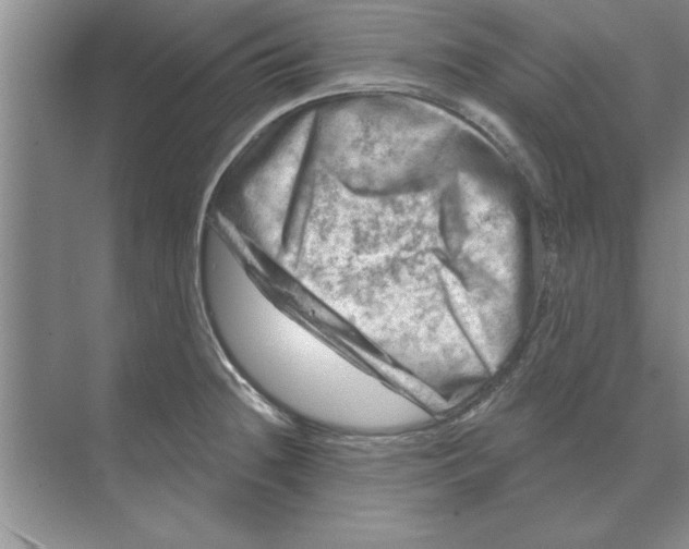 X0000074341236200609230110