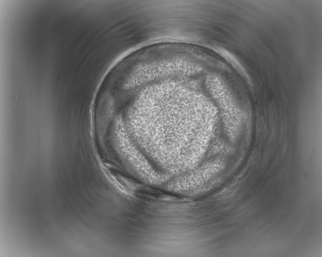 X0000074341238200609230110