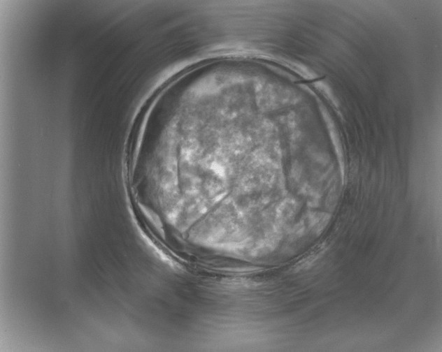 X0000074341239200609230110