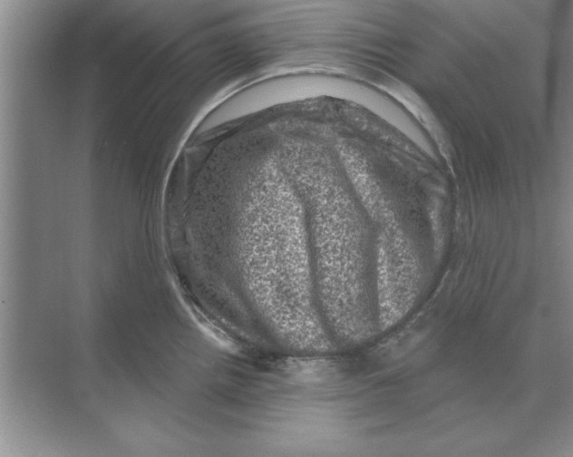 X0000074341242200609230110