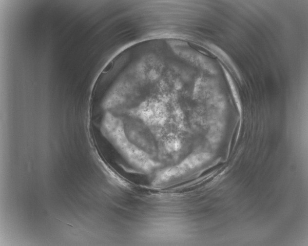 X0000074341244200609230110