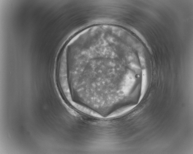 X0000074341245200609230110