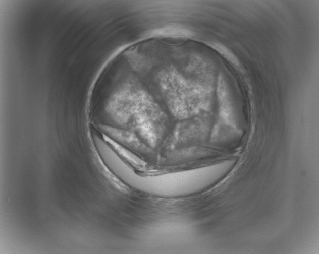 X0000074341248200609230110