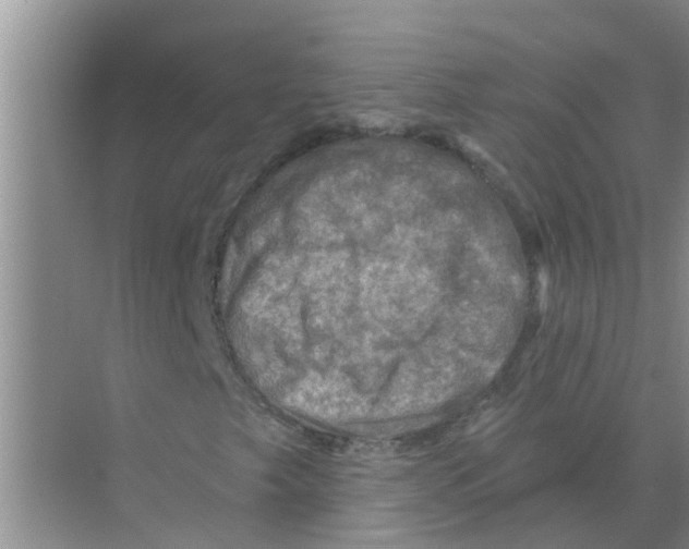 X0000074341249200609230109