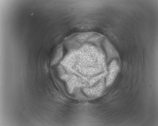 X0000074341250200609230109