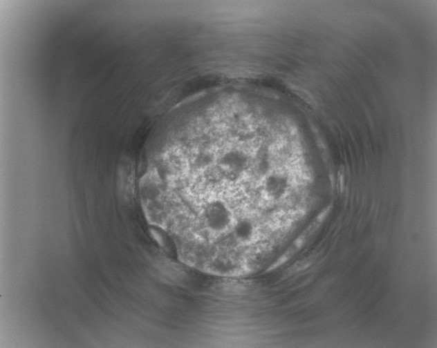 X0000074341251200609230109