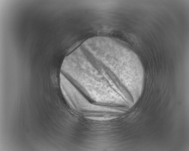 X0000074341252200609230109