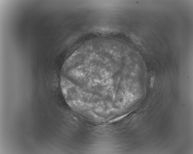 X0000074341253200609230109