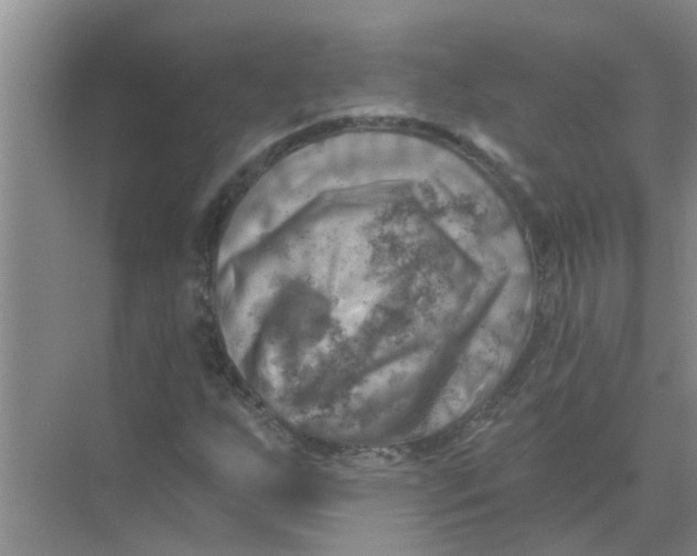 X0000074341255200609230109