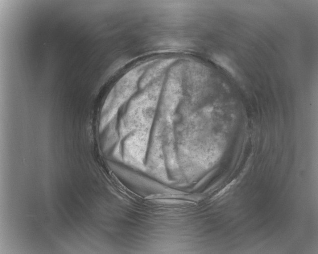 X0000074341259200609230109