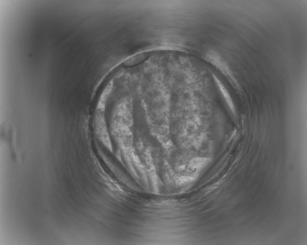 X0000074341260200609230109