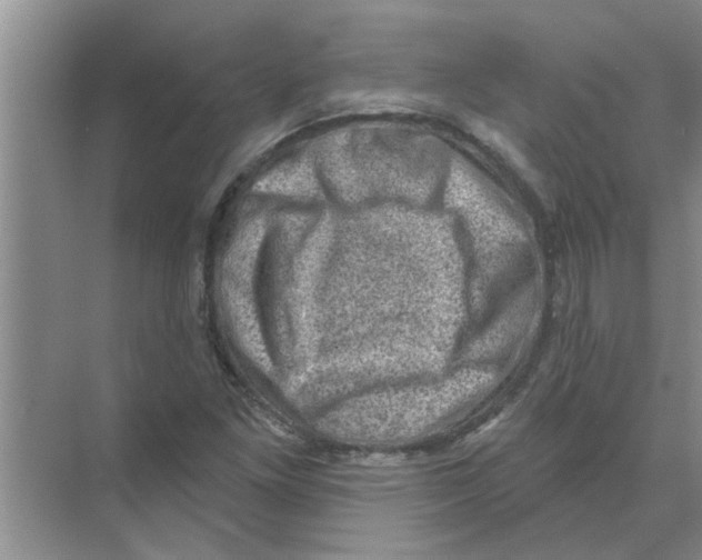 X0000074341261200609230109