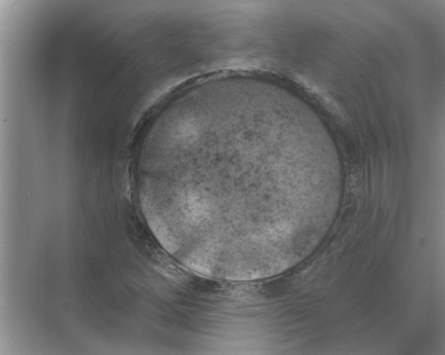 X0000074341262200609230109