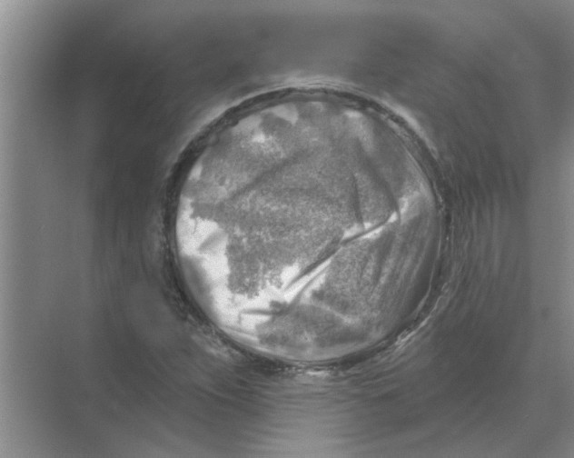 X0000074341263200609230109