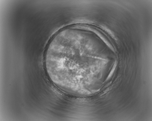 X0000074341264200609230109