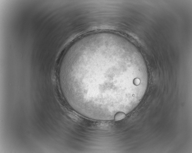 X0000074341266200609230109