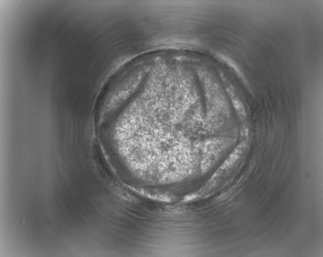 X0000074341267200609230109