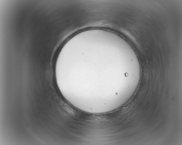 X0000074341270200609230109