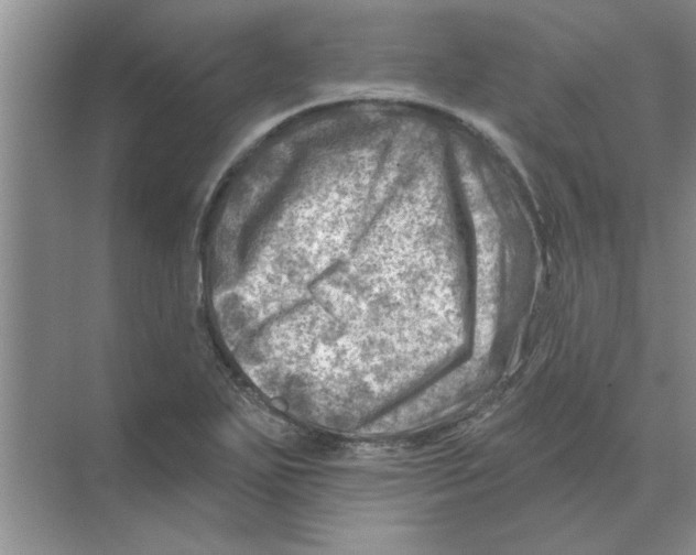 X0000074341271200609230109