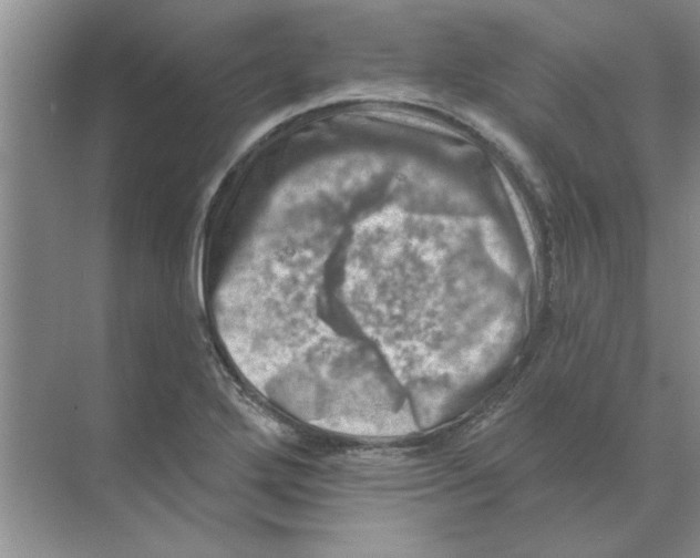 X0000074341272200609230109