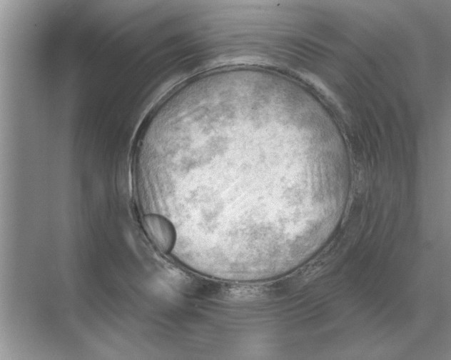 X0000074341274200609230109