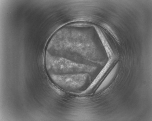 X0000074341276200609230109