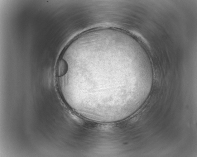 X0000074341278200609230109