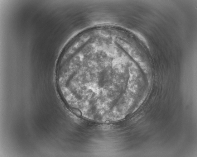 X0000074341279200609230109