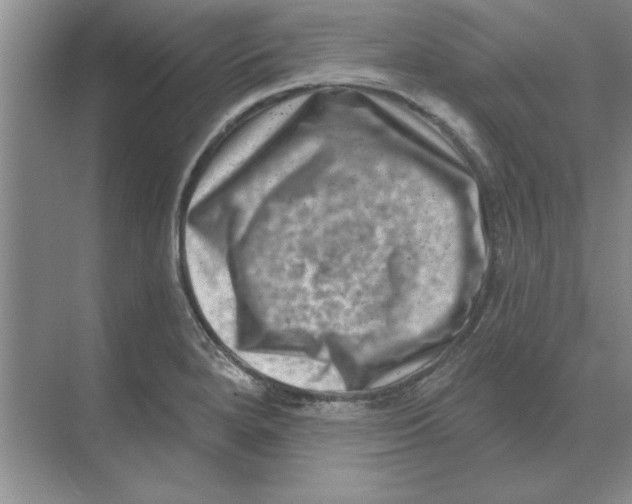 X0000074341280200609230108