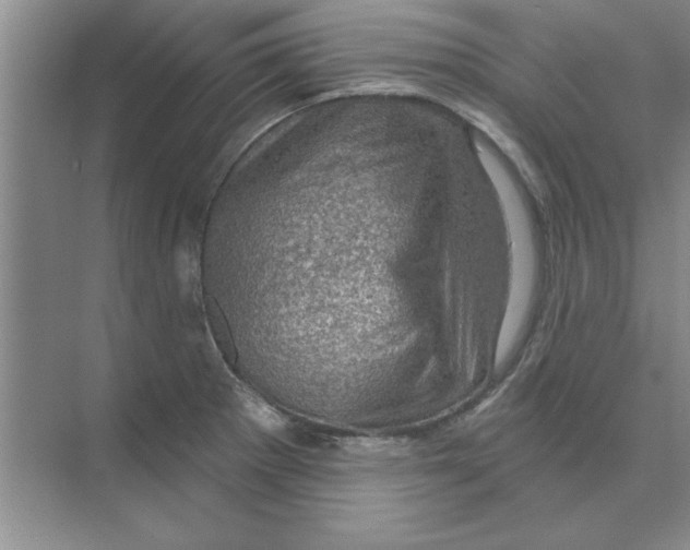 X0000074341281200609230108