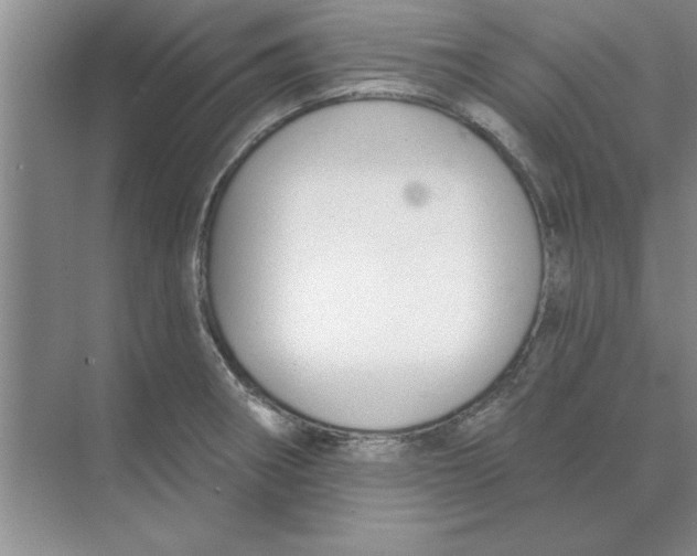 X0000074341282200609230108