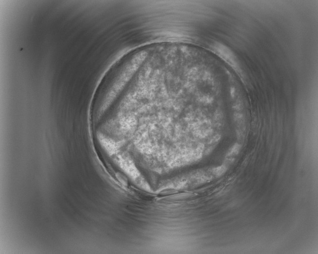 X0000074341283200609230108