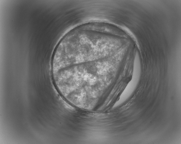 X0000074341287200609230108