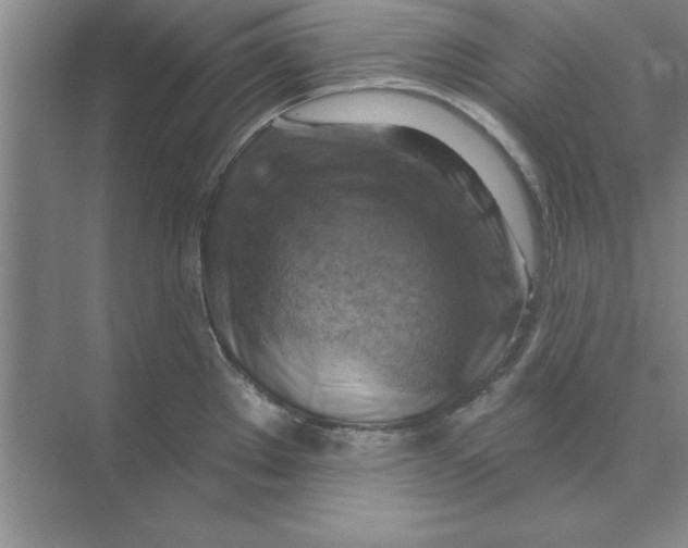 X0000074341289200609230108