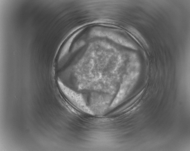 X0000074341292200609230108