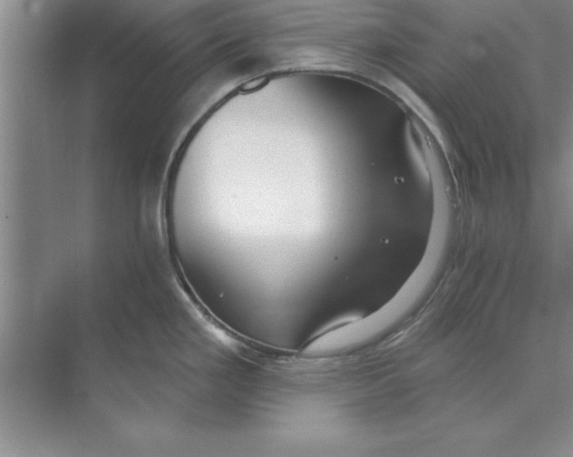 X0000074341293200609230108