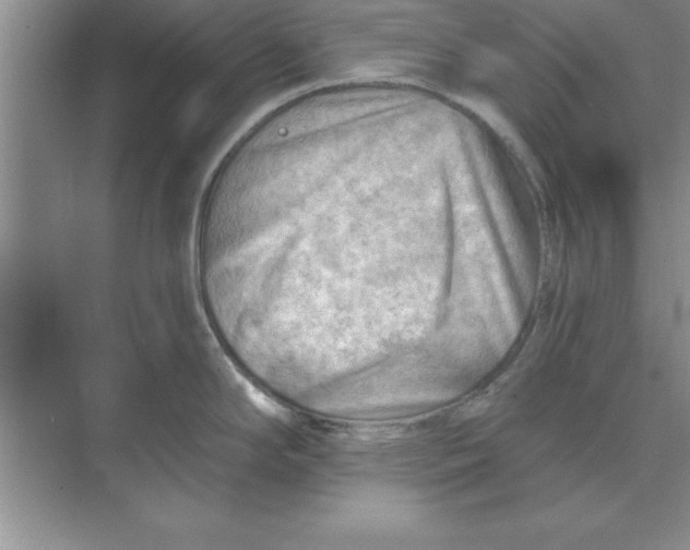 X0000074341294200609230108