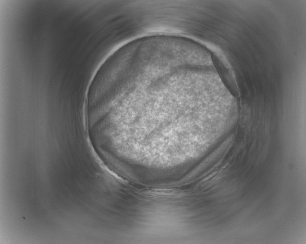 X0000074341295200609230108